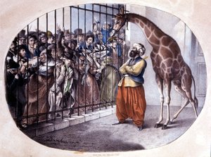 La multitud curiosa se apresuró a ver una jirafa detrás de una puerta. Litografía de Danhaaren. 1829. de Unknown artist