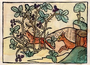 El zorro y las uvas. Fábula de Esopo (grabado del siglo XVI) de Unknown artist
