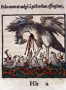 La leyenda del pelícano: da su sangre y entrañas para alimentar a sus crías. De Historiae animalium de Konrad Gesner, Tiguri de Unknown artist
