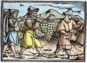 El regreso de Josué y Caleb con un gran racimo de uvas de la tierra de Canaán (Tierra Prometida). Crónica de Johann Stumpff de Unknown artist