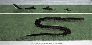 La serpiente marina observada en 1872 en el Atlántico Meridional. de Unknown artist
