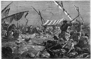 Pesca de atún con trampa en la costa de Provenza en Francia. Grabado en "El Universo Ilustrado" de Unknown artist