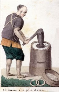 Un chino que saquea el arroz - en Il costume universale di tutti i popoli del mondo (El traje universal de todos los pueblos del mundo) de Unknown artist