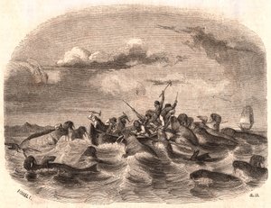 Vista de un grupo de marineros ingleses persiguiendo una manada de morsas en 1818 frente a la costa de Spitsbergen de Unknown