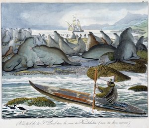 Vista de la isla de San Pablo en el mar de Kamchatka con leones marinos. de Unknown artist
