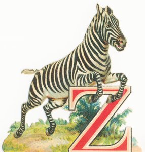 Z: Cebra