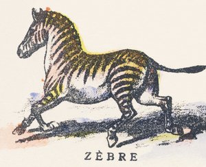 Z: cebra de Unknown artist