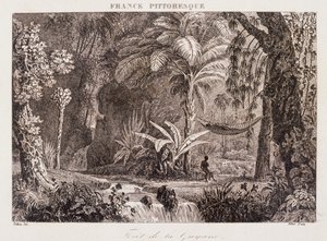 grabado que representa la colonia francesa de Guyana en América del Sur 1850 de Unknown artist