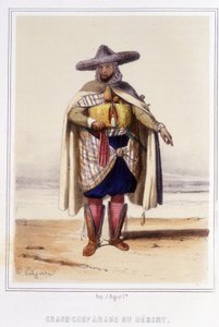 Gran jefe árabe del desierto durante la segunda mitad del siglo XIX