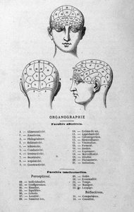 Ilustración del libro de Charles Rouvin de 1873 Organographie La Tête humaine, estudios ilustrados de frenología y fisionomía aplicados a personajes famosos, París 1873 de Unknown artist