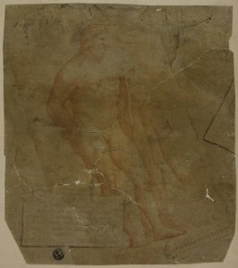 Hércules de Unknown Italian