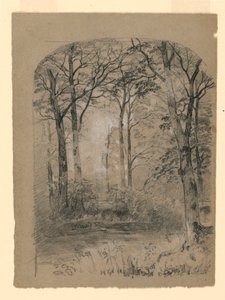 Dibujo, Estudio de bosque, 1865-70 de Unknown artistUnknown artist