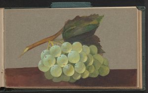 Un racimo de uvas