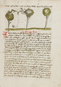 Un azor en un árbol y un ruiseñor volando lejos de su nido de Unknown artist