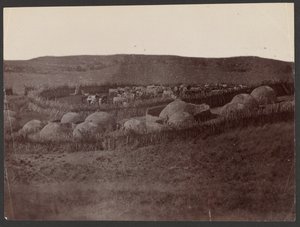 A Kraal, Tierra Zulú de Unknown artist