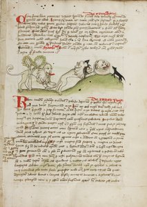 Un león y otro león con un ratón