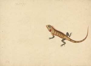 Un lagarto con dibujos de un escorpión y una araña de Unknown artist