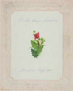 Un amor firme (San Valentín)