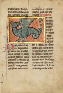 Un dragón alado