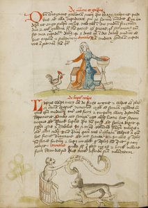 Una mujer con una vasija y una gallina; un mono instruyendo a un zorro y un lobo de Unknown artist