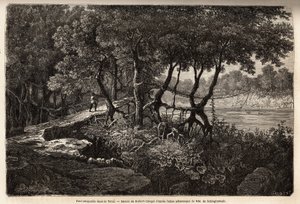 Un puente colgante en el Terai (“Humedal”), esta área de praderas pantanosas forma la base del Himalaya y bordea Nepal al sur de la frontera india. Grabado para ilustrar la exploración de Asia Superior de 1854 a 1857, por los hermanos Schlagintweit de Unknown artist