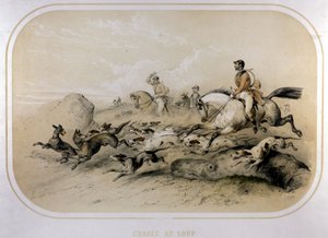Caza de lobos. Grabado del siglo XIX