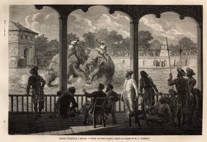Una pelea de elefantes en Baroda, Gujarat. Grabado para ilustrar el viaje en India de los Rajás, por Louis Rousselet, en 1864-1868, publicado en 