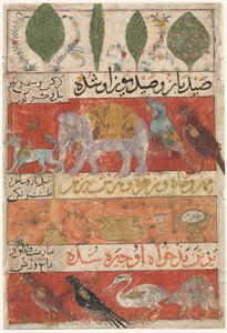Animales, Pájaros y Plantas (verso) de un Mu