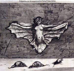 Murciélagos y ratas. "De China Monumenta" de Athanasius Kircher de Unknown artist