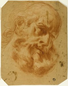 Cabeza con barba de Unknown artist