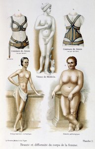 Belleza y deformidad del cuerpo de la mujer (delgadez y obesidad); cinturones de Juno - en "La mujer, médico del hogar" de Unknown artist