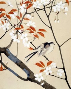 Pájaro y cerezo en flor - Dibujo japonés por Riou Chim, finales del siglo XIX de Unknown artist