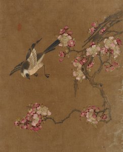 Aves y flores