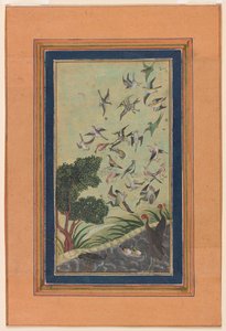 Aves en Baran, posiblemente del Babur-nama de Unknown artist