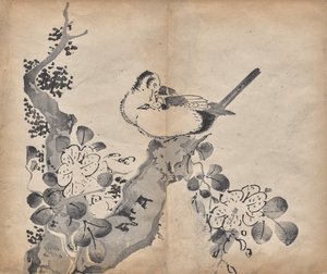 Flores y pájaros de Unknown artist