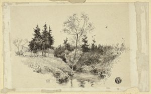 Arroyo en el bosque