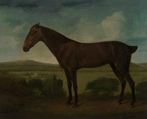 Caballo pardo en un paisaje de colinas de Unknown artist