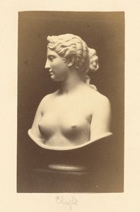 [Busto de Clytie por Hiram Powers] de Unknown artist