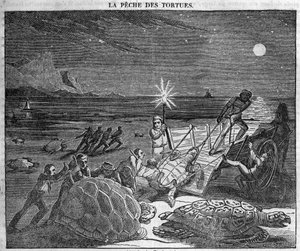 Captura de tortugas en la costa de Cuba - grabado del siglo XIX
