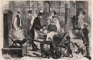 El vendedor de carne de gato en una calle del distrito de Westminster en Londres, un comerciante ambulante de carne de caballo para perros y gatos - Grabado en "Le Monde Illustré" de Unknown artist