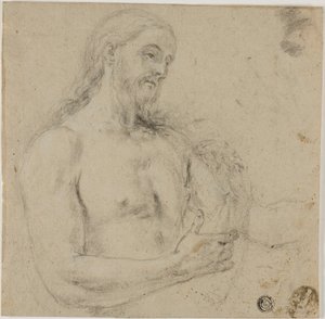 Cristo (torso superior)