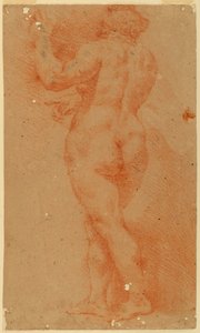 Estudio de contraprueba de una mujer desnuda de Unknown artist