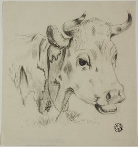 Cabeza de vaca de Unknown artist