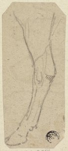 Pata de vaca de Unknown artist