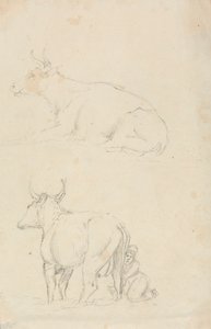 Vacas y lecheras