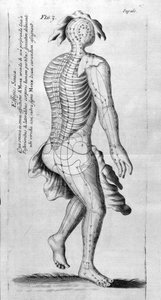 De Acupunctura por W.Ten Rhijne. Londres 1683. Primer texto occidental sobre acupuntura de Unknown artist