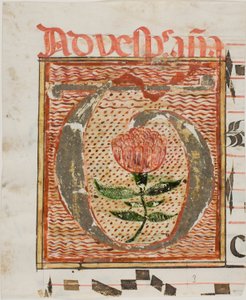 Inicial "T" decorada con flor de un manuscrito