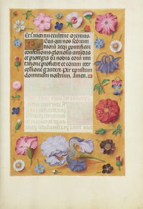 Página de texto decorada