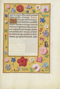 Página de texto decorada de Unknown artist