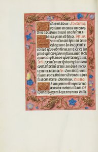Página de texto decorada